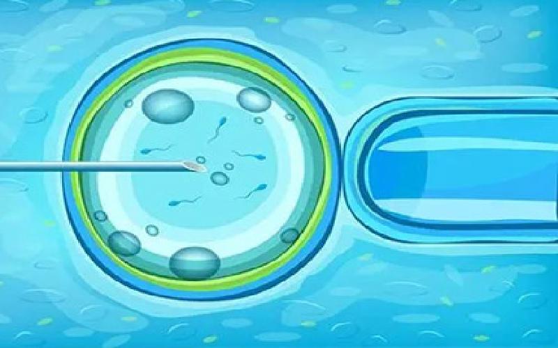 火影试管实验2代生